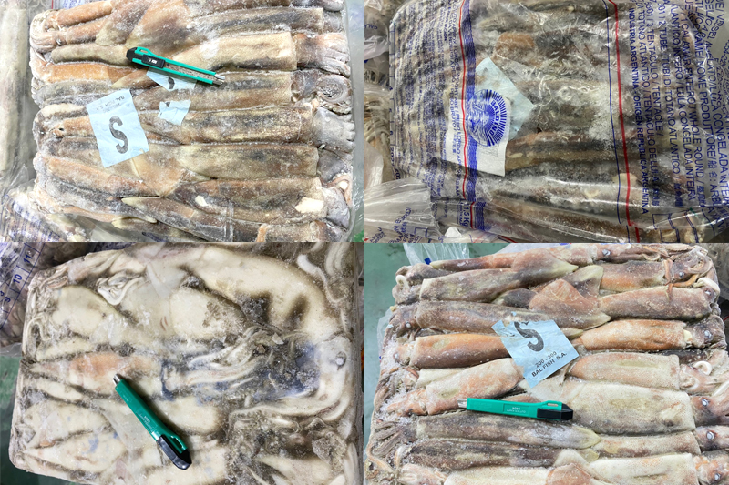 Mực ống Indo 3/4