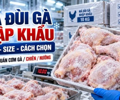 thumbnail-ma-dui-ga-nhap-khau-gia-si-size-va-cach-chon
